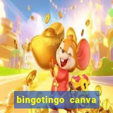 bingotingo canva pro gratis